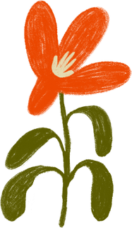 Hand Drawn Organic Orange Flower
