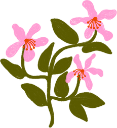 Hand Drawn Organic Pink Flower